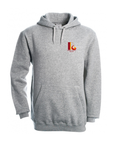 Džemperis su gobtuvu su užrašu